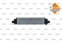 Intercooler, charger