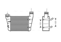 Intercooler, charger