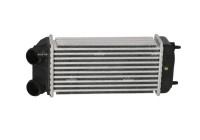 Intercooler, charger