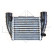 Intercooler, charger