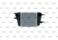 Intercooler, charger