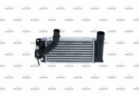 Intercooler, charger
