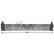 Intercooler, charger