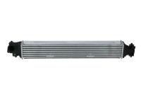Intercooler, charger