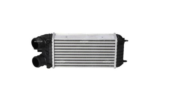 Intercooler, charger