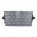 Intercooler, charger