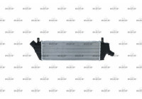 Intercooler, charger