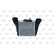 Intercooler, charger, Thumbnail 4