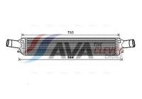 Intercooler, charger