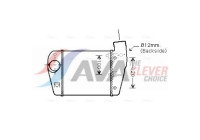 Intercooler, charger