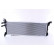 Low Temperature Cooler, intercooler 606087 Nissens