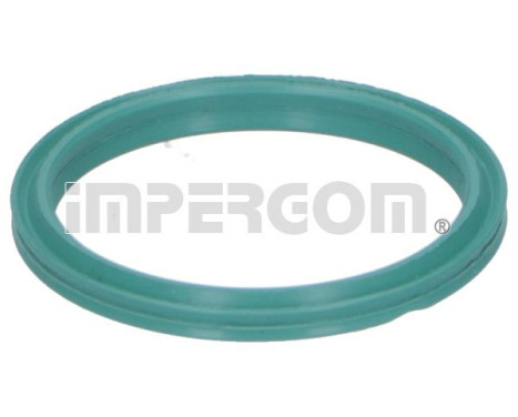 Seal ring, charge air hose