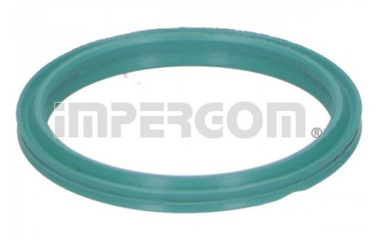 Seal ring, charge air hose