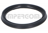 Seal ring, charge air hose