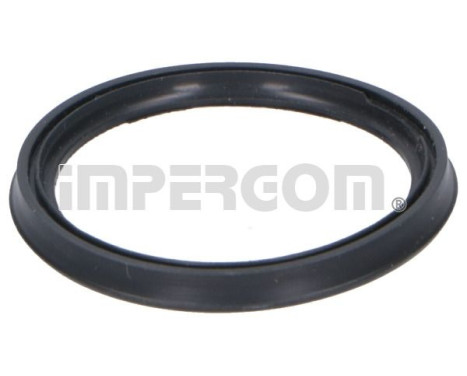 Seal ring, charge air hose