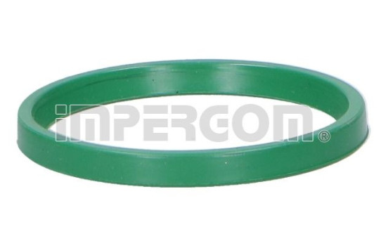 Seal ring, charge air hose