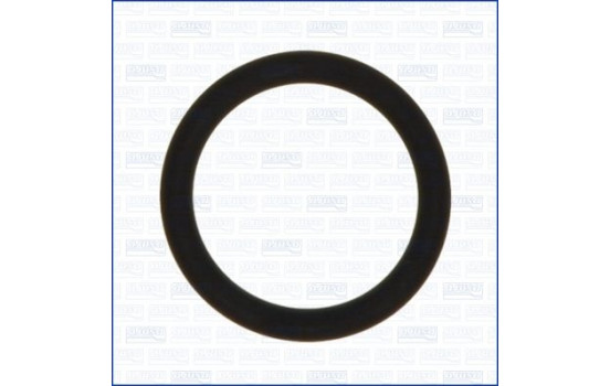 Seal ring, charge air hose