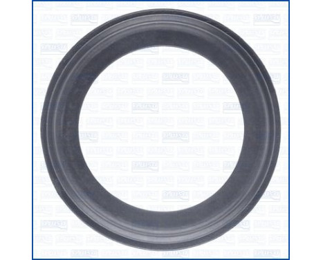 Seal ring, charge air hose