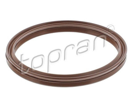 Seal ring, charge air hose