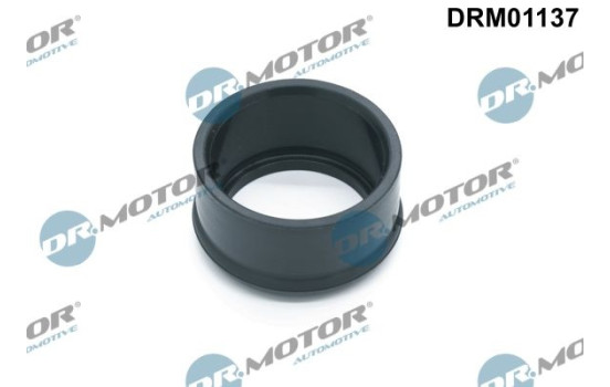 Seal ring, charge air hose