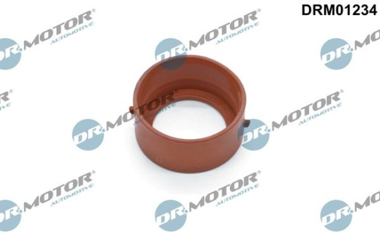 Seal ring, charge air hose