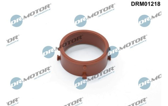 Seal ring, charge air hose