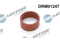 Seal ring, charge air hose