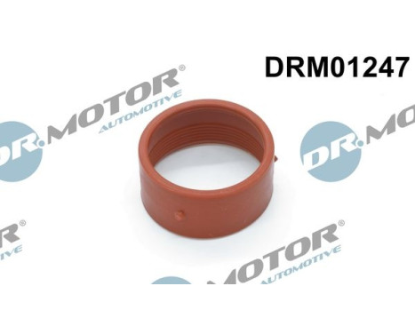 Seal ring, charge air hose