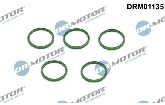 Seal ring, charge air hose