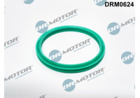 Seal ring, charge air hose