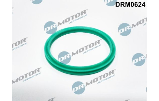Seal ring, charge air hose