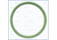 Seal ring, charge air hose