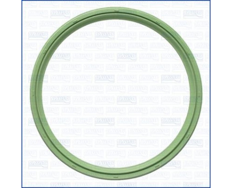 Seal ring, charge air hose