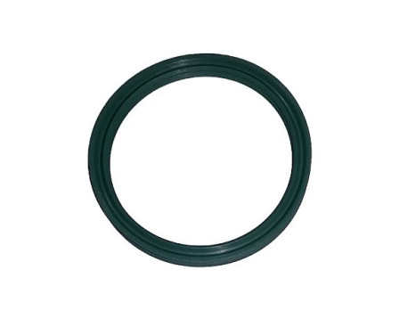 Seal ring, charge air hose