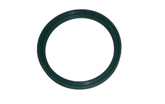 Seal ring, charge air hose