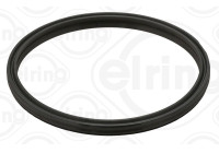 Seal ring, charge air hose