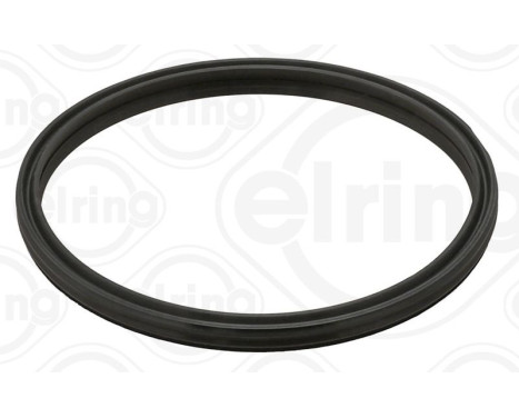 Seal ring, charge air hose