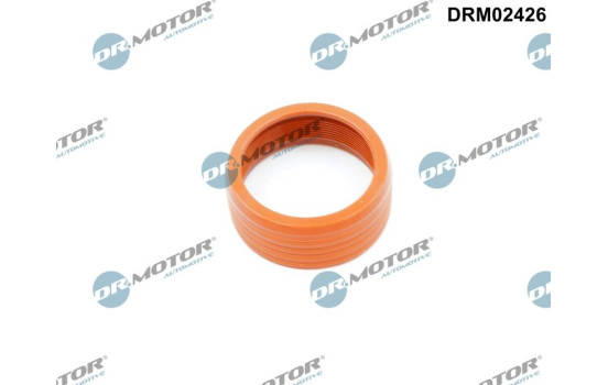 Seal ring, charge air hose