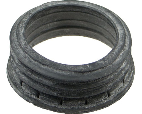 Seal ring, charge air hose