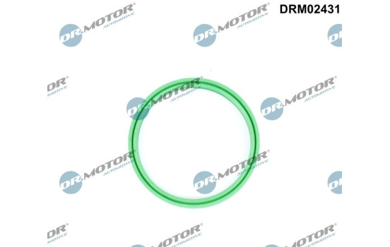 Seal ring, charge air hose