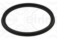 Seal ring, charge air hose
