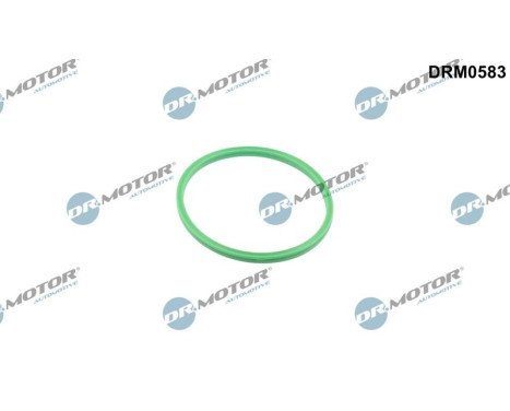 Seal ring, charge air hose