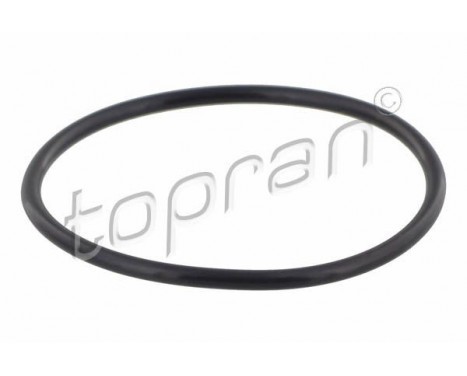 Seal Ring, turbo air hose