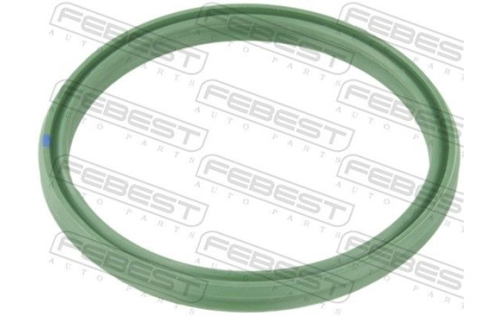 Seal Ring, turbo air hose