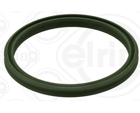 Sealing ring, charge air hose