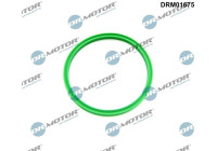 Sealing ring, charge air hose
