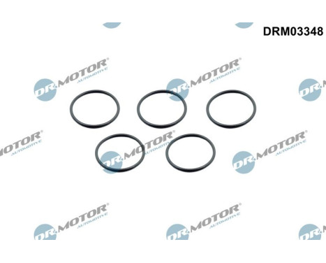 Sealing ring, charge air hose