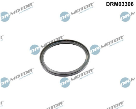 Sealing ring, charge air hose