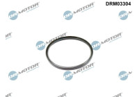 Sealing ring, charge air hose