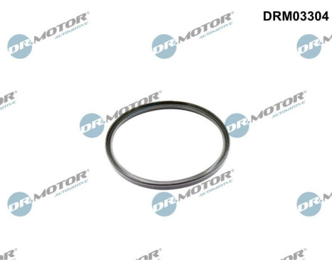 Sealing ring, charge air hose